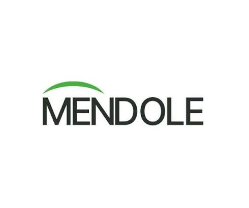 Mendole A/S